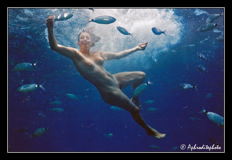 013 Le repas des poissons